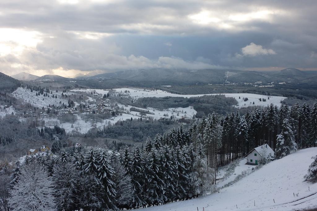 Gite Schlitteur Et Sapiniere Breitenbach Экстерьер фото
