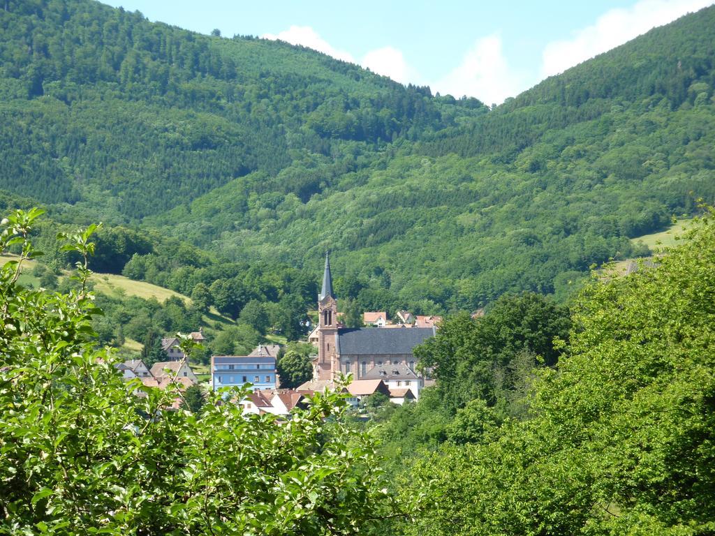 Gite Schlitteur Et Sapiniere Breitenbach Экстерьер фото