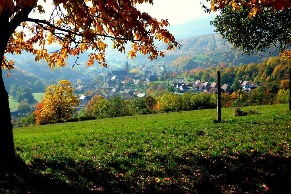 Gite Schlitteur Et Sapiniere Breitenbach Экстерьер фото