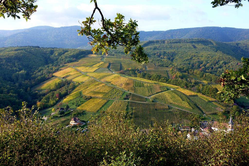 Gite Schlitteur Et Sapiniere Breitenbach Экстерьер фото