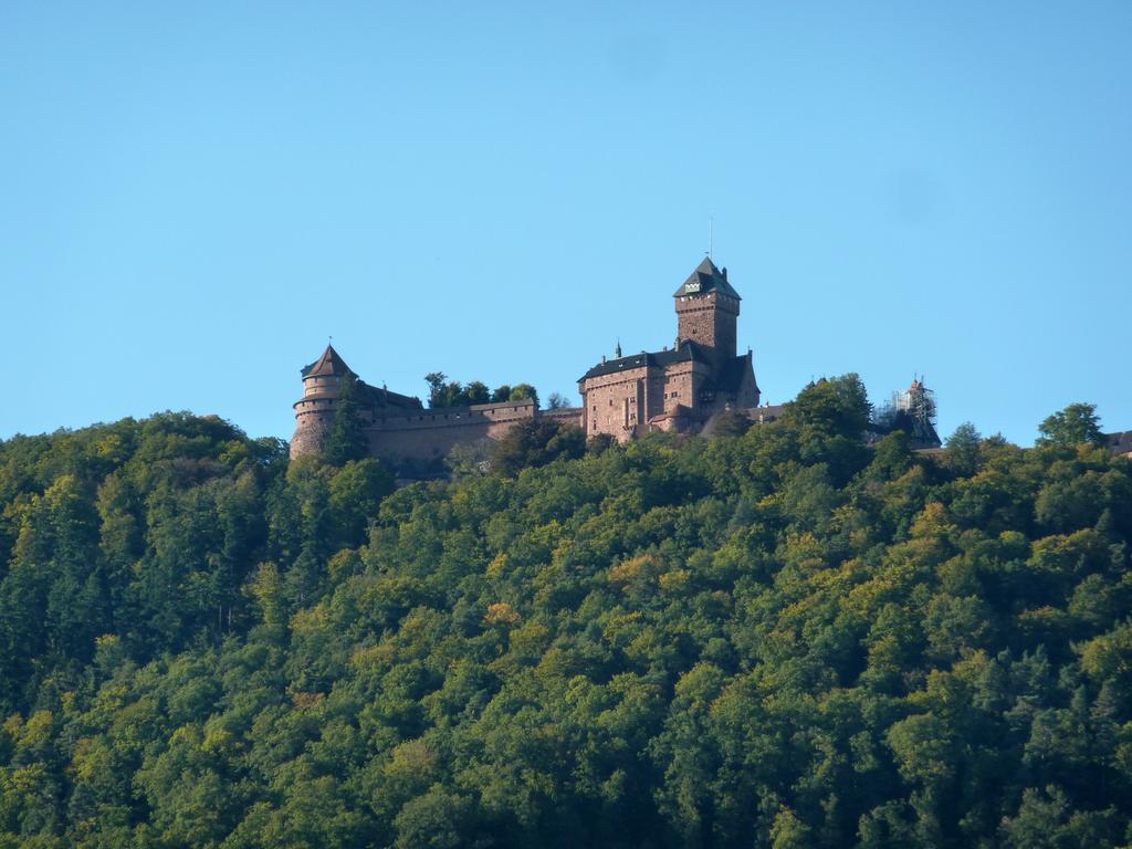 Gite Schlitteur Et Sapiniere Breitenbach Экстерьер фото