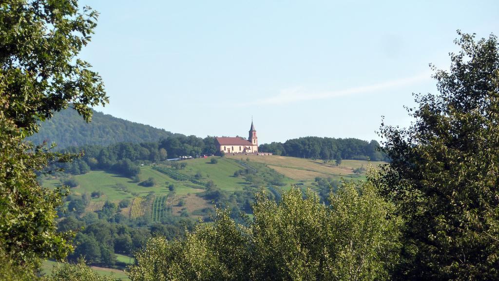 Gite Schlitteur Et Sapiniere Breitenbach Экстерьер фото
