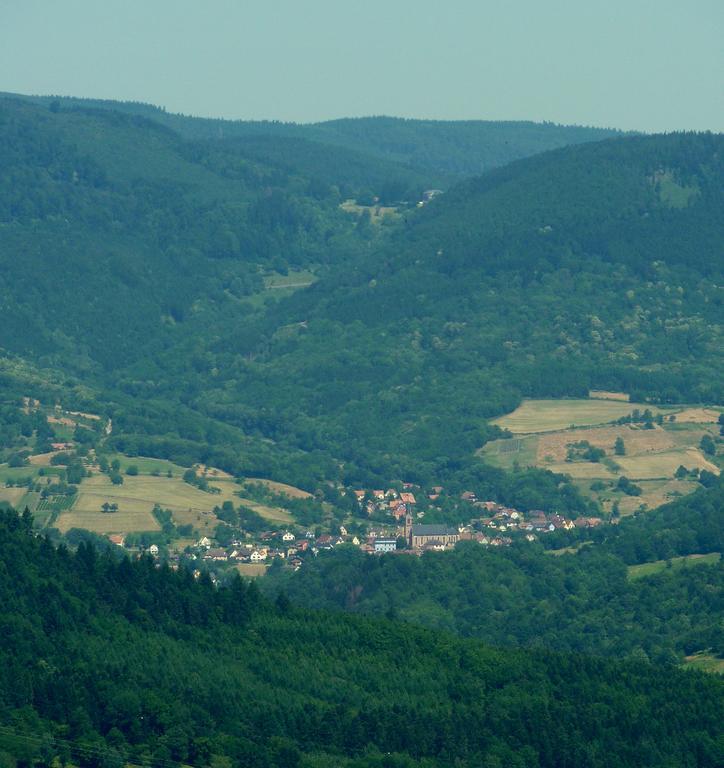 Gite Schlitteur Et Sapiniere Breitenbach Экстерьер фото