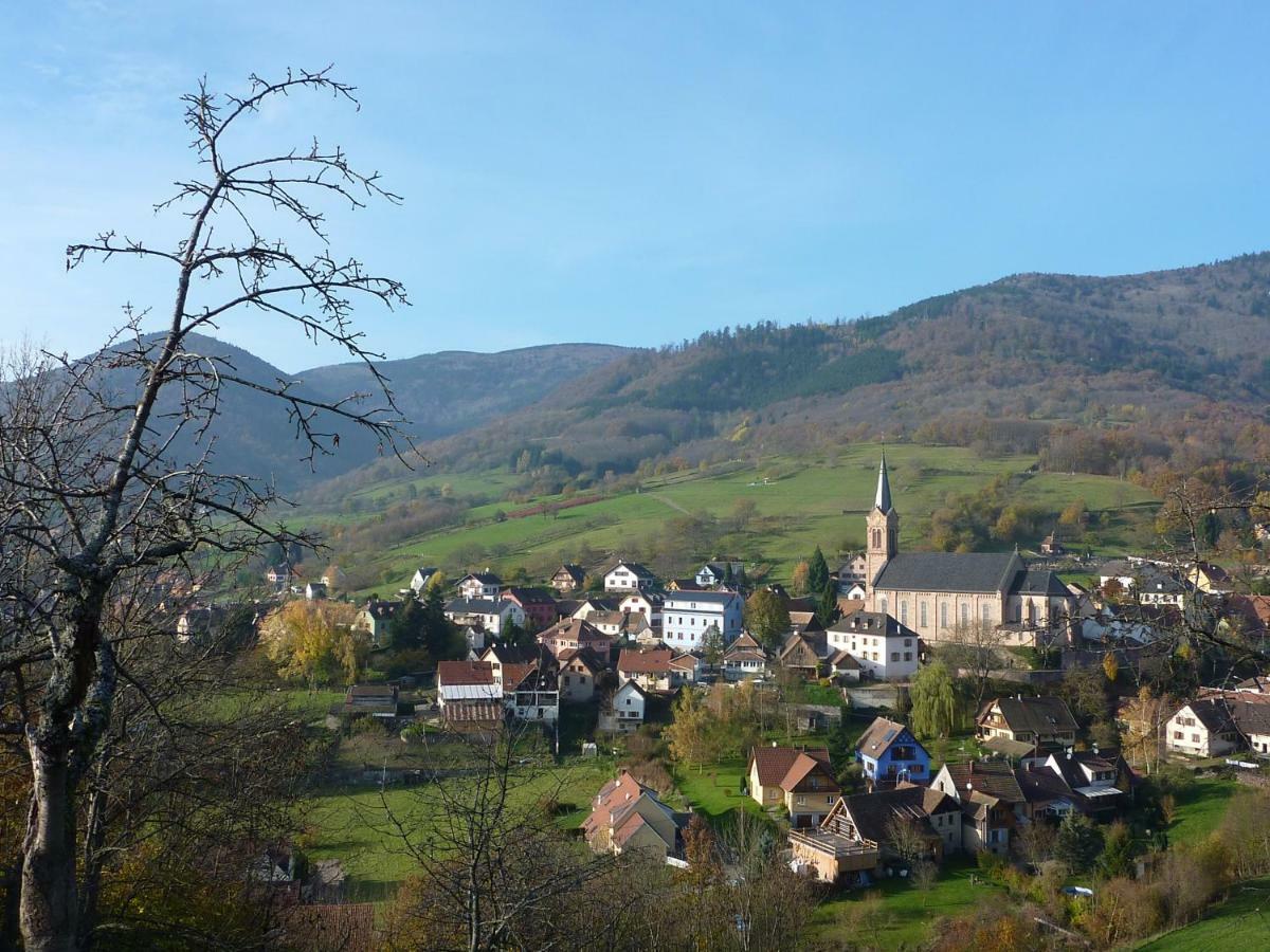 Gite Schlitteur Et Sapiniere Breitenbach Экстерьер фото