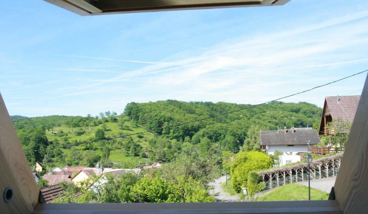 Gite Schlitteur Et Sapiniere Breitenbach Экстерьер фото