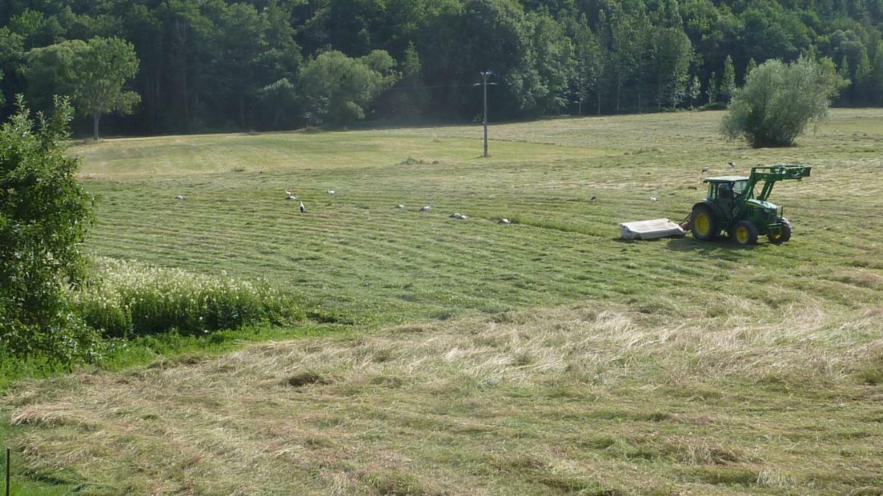 Gite Schlitteur Et Sapiniere Breitenbach Экстерьер фото